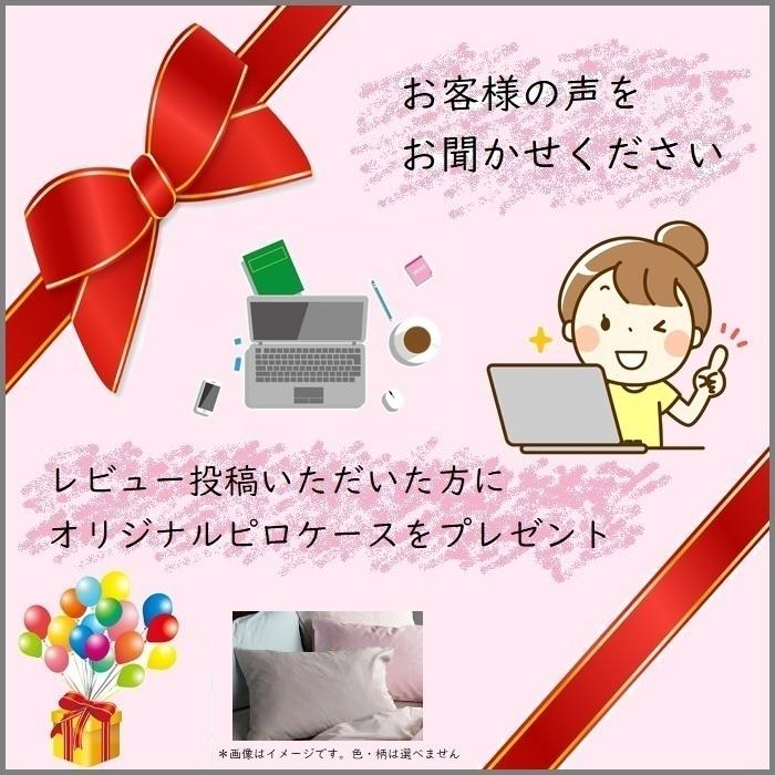 フランスベッド ベッドフレーム エディ シングル 【送料・開梱組立設置無料】脚付きベッドフレーム エディ EY-01F レッグタイプ　NA色_7