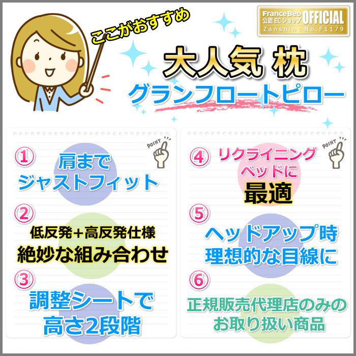 フランスベッド（FRANCEBED） 大人気枕 グランフロートピロー 【送料