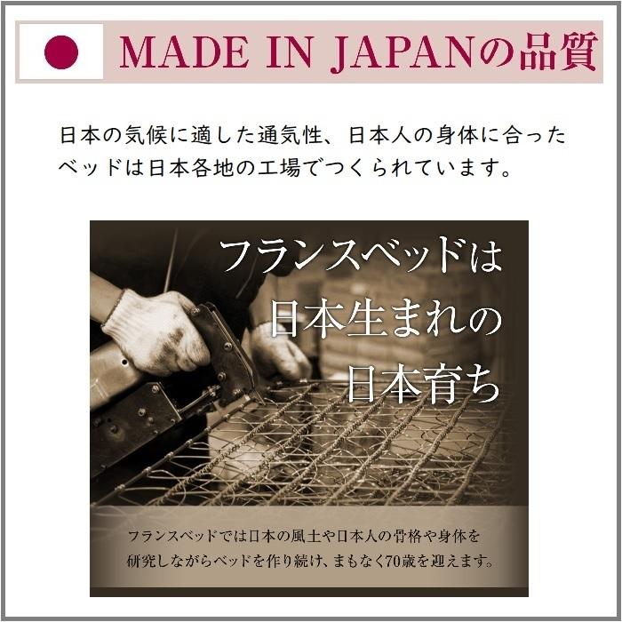 フランスベッド（FRANCEBED） 【お得な2枚セット】フランスベッド