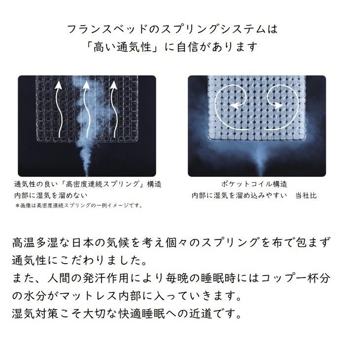 フランスベッド（FRANCEBED） JM101 シングル 幅97cm 薄型 二段ベッド