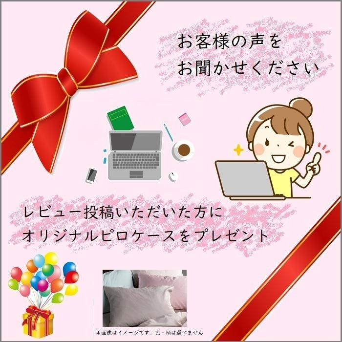 フランスベッド 【お部屋まで無料で搬入・開梱組み立て設置 フランスベッド 【お部屋まで無料で搬入・開梱組み立て設置