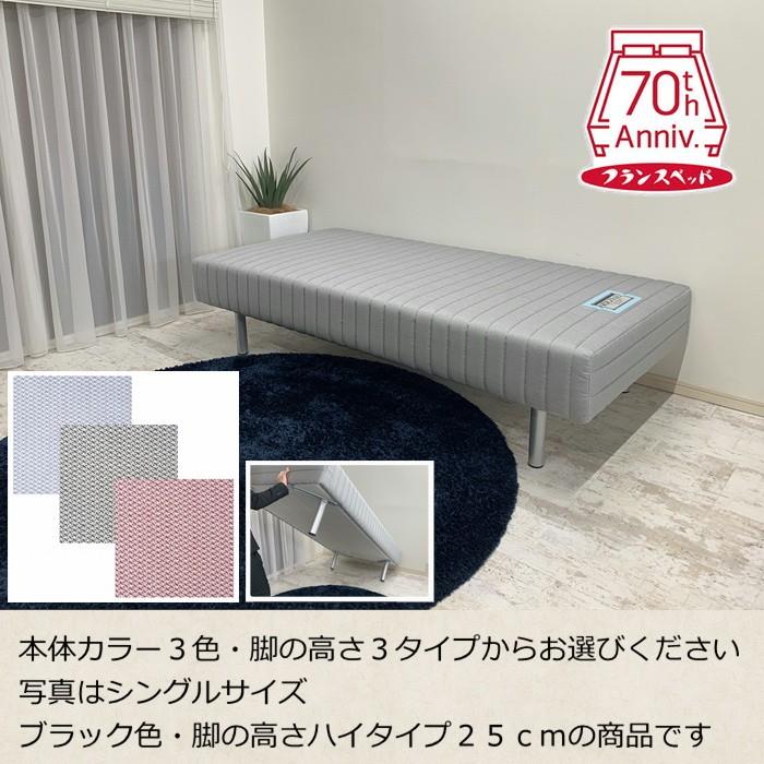 フランスベッド（FRANCEBED） フランスベッド脚付きマットレス FBM 色 