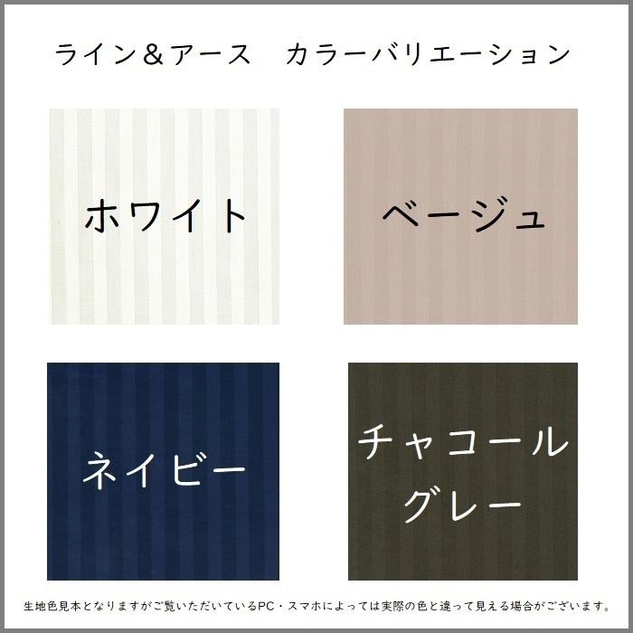 フランスベッド（FRANCEBED） 掛け布団カバー ライン＆アース クイーン