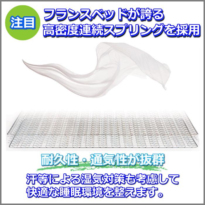 フランスベッド（FRANCEBED） リクライニングマットレス マイクロ RX