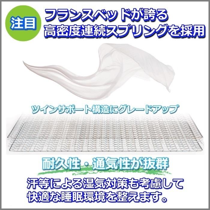 フランスベッド ベッドフレームマットレスセット 70周年記念商品 PR70-05F LEG M 【開梱組立設置無料】脚付き レッグ セミダブル TW-100α 付き_3