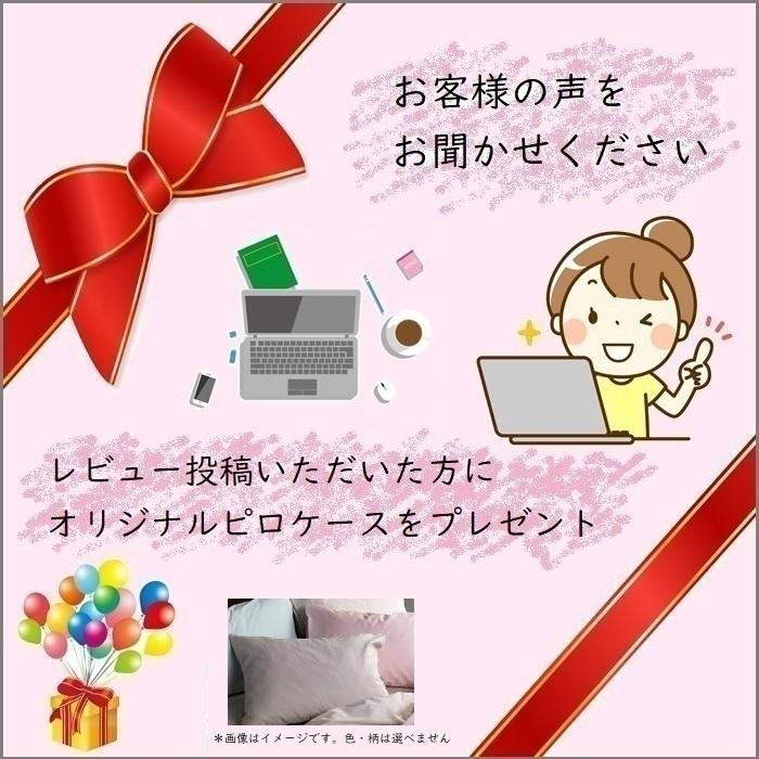 【お部屋まで搬入・開梱設置無料】フランスベッド TW-010α マットレス セミダブル 幅122cm TW010 ZT020 ZT030 後継 人気 フランスベッド マット 硬い | フランスベッド | 10