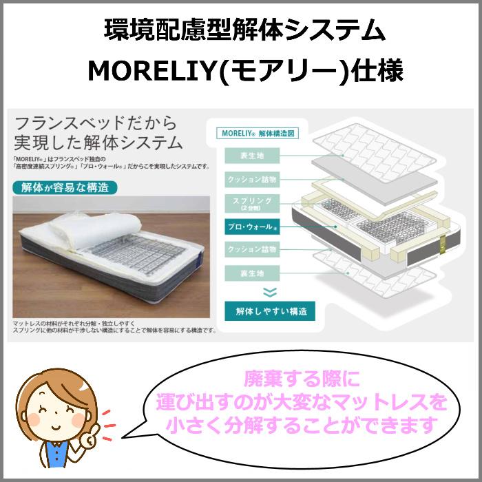 フランスベッド マットレス TW-106AgPWα-MON 【お部屋まで無料で開梱設置】クイーン マットレス2枚タイプ　プロ・ウォール仕様の高衛生マットレス｜zanshin｜15