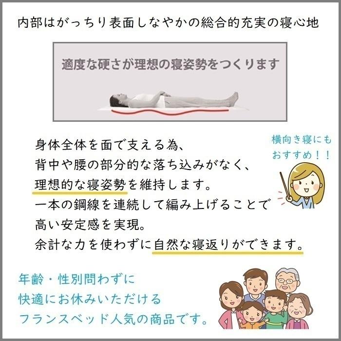 開梱設置無料】フランスベッド TW-100α 動画公開中 寝装品３点パック