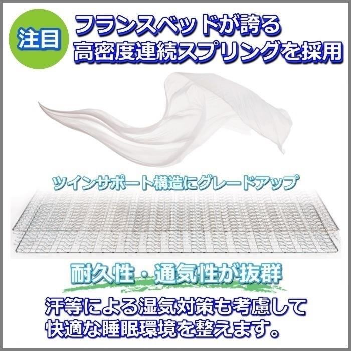 フランスベッド（FRANCEBED） マットレス TW-010α シングル【大特価
