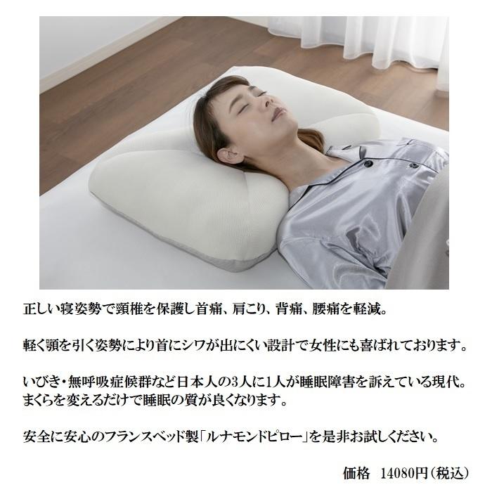 フランスベッド（FRANCEBED） ルナモンドピロー ロータイプ【送料無料