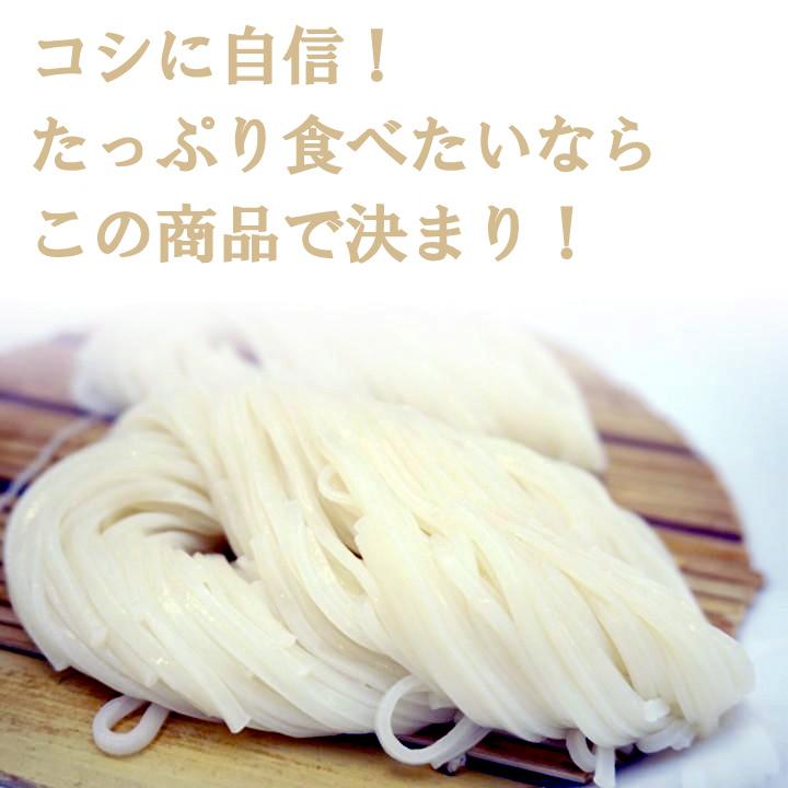 チャック付蔵王うどん 1kg×10袋 (100人前）部活メシ 業務用 たっぷり