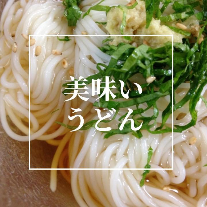 チャック付蔵王うどん 1kg×10袋 (100人前）部活メシ 業務用 たっぷり