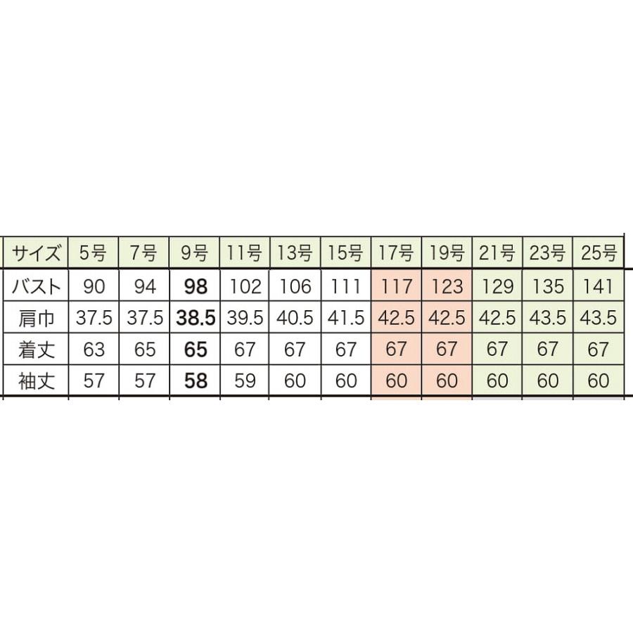 【取り寄せ】enjoie アンジョア 長袖ブラウス 01232 (ZQ009) 17・19号 オールシーズン 2025Spring ...
