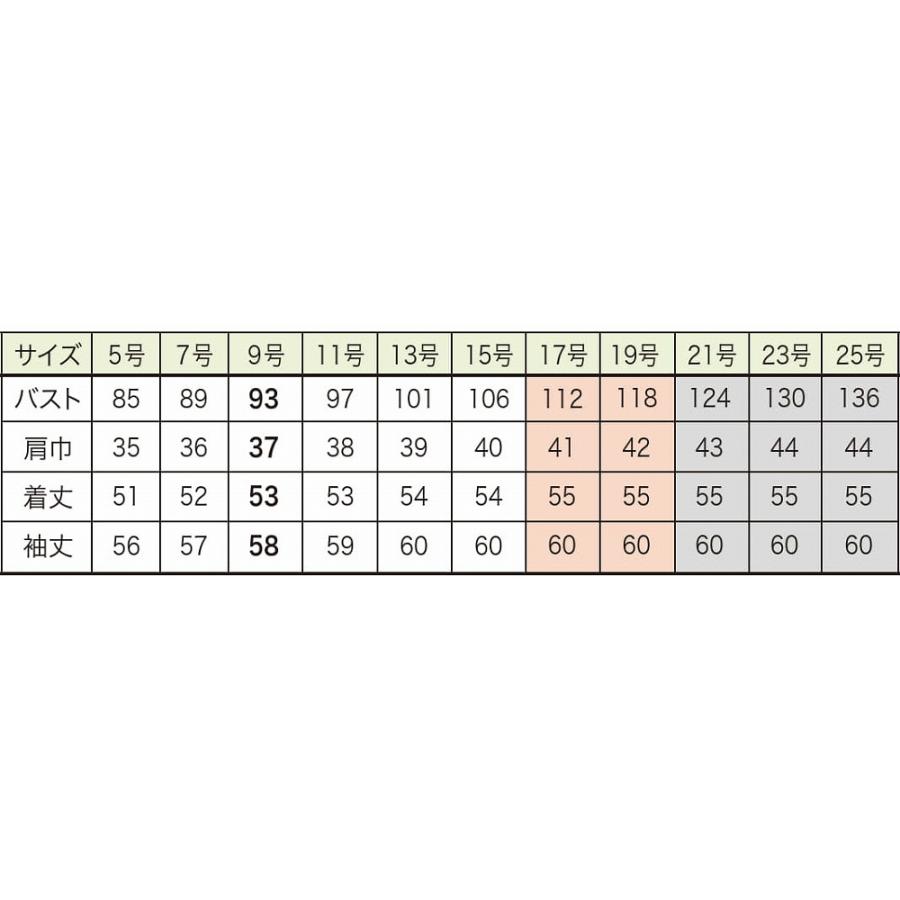 【取り寄せ】enjoie アンジョア ジャケット 81515 (ZQ176) 17・19号 オールシーズン 2025Spring ...