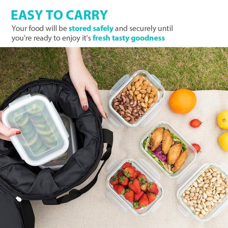 驚きの値段 Bayco Glass Meal Prep Containers 6 Pack 22oz 2 7cups Glass Food St U ジョイショップ ヤフー店 通販 Yahoo ショッピング 流行に Www Kingfishswimming Com