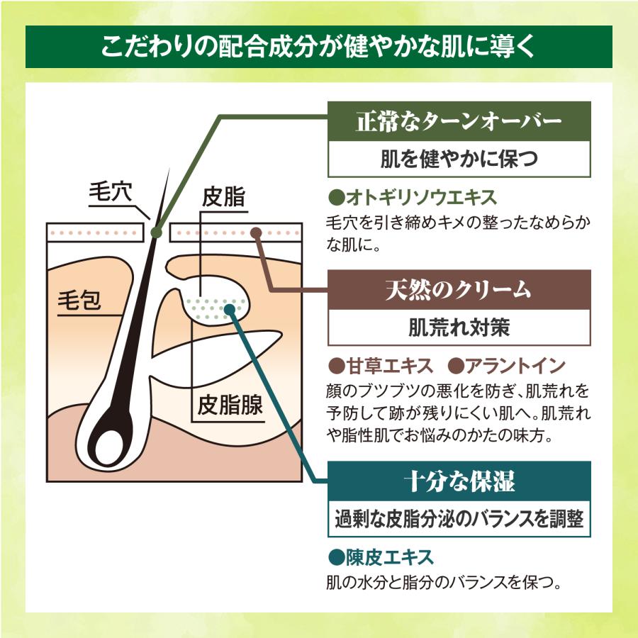 ZAS 毛穴ケア コスメセット 収れん化粧水 + 海泥パック 毛穴汚れ