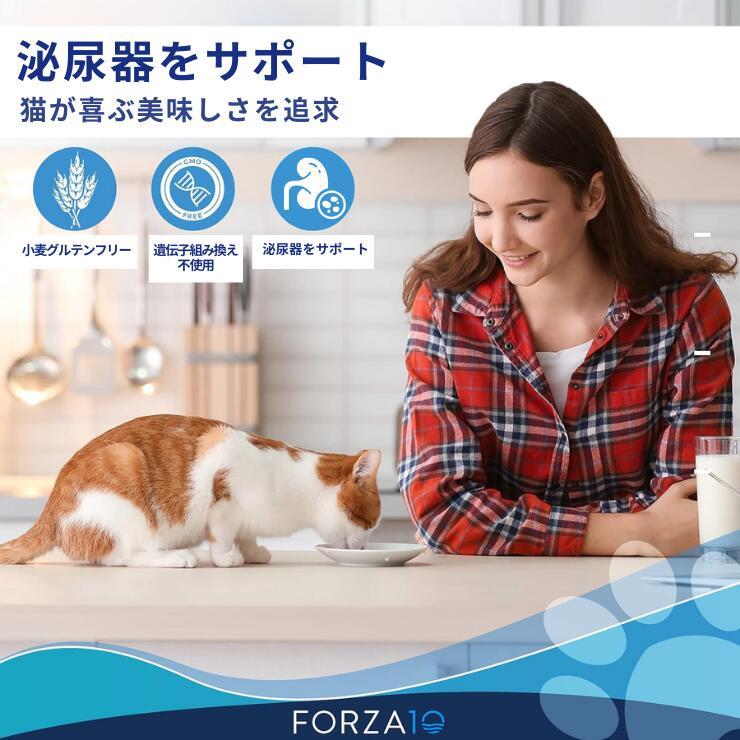 FORZA10（フォルツァディエチ） フォルツァ FORZA10 100g×12個セット