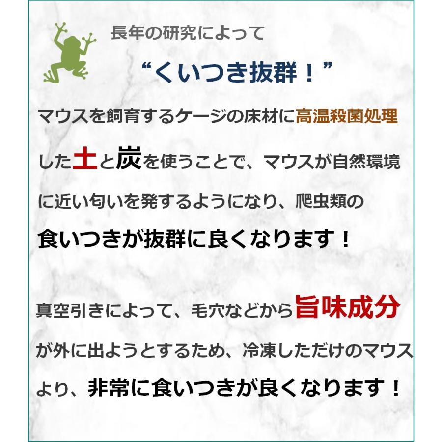 ZAZOO 国産 冷凍マウス アダルトLL 33g〜40g 9.5cm 真空 個別包装