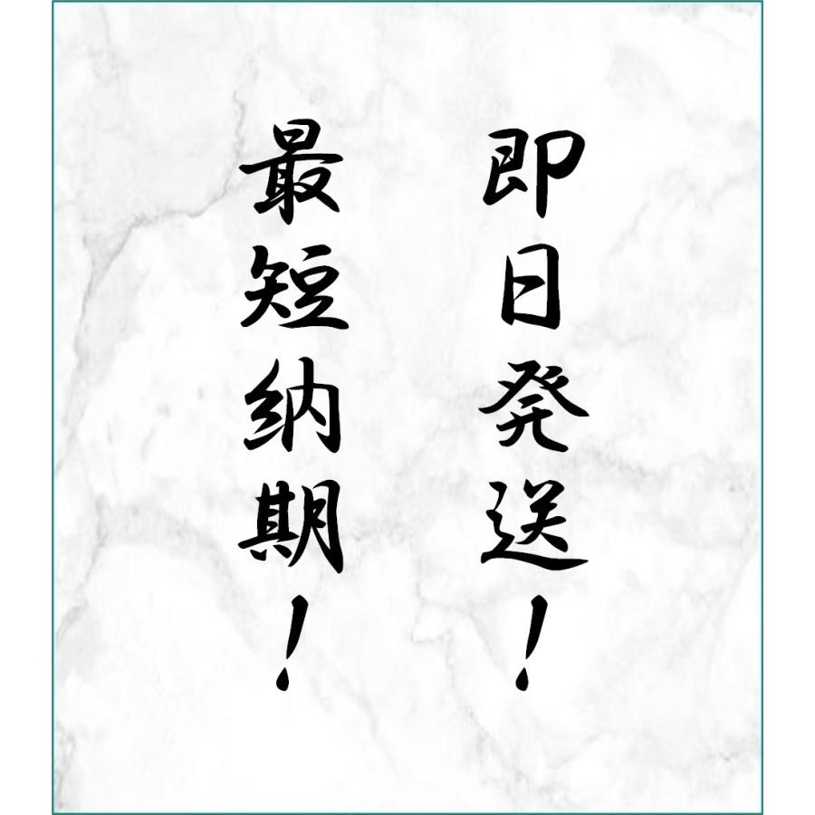ZAZOO 国産 冷凍マウス アダルトL 28g〜35g 9cm 真空 個別包装 ZAZOO 国産 冷凍マウス アダルトL 28g〜35g 9cm 真空 個別包装