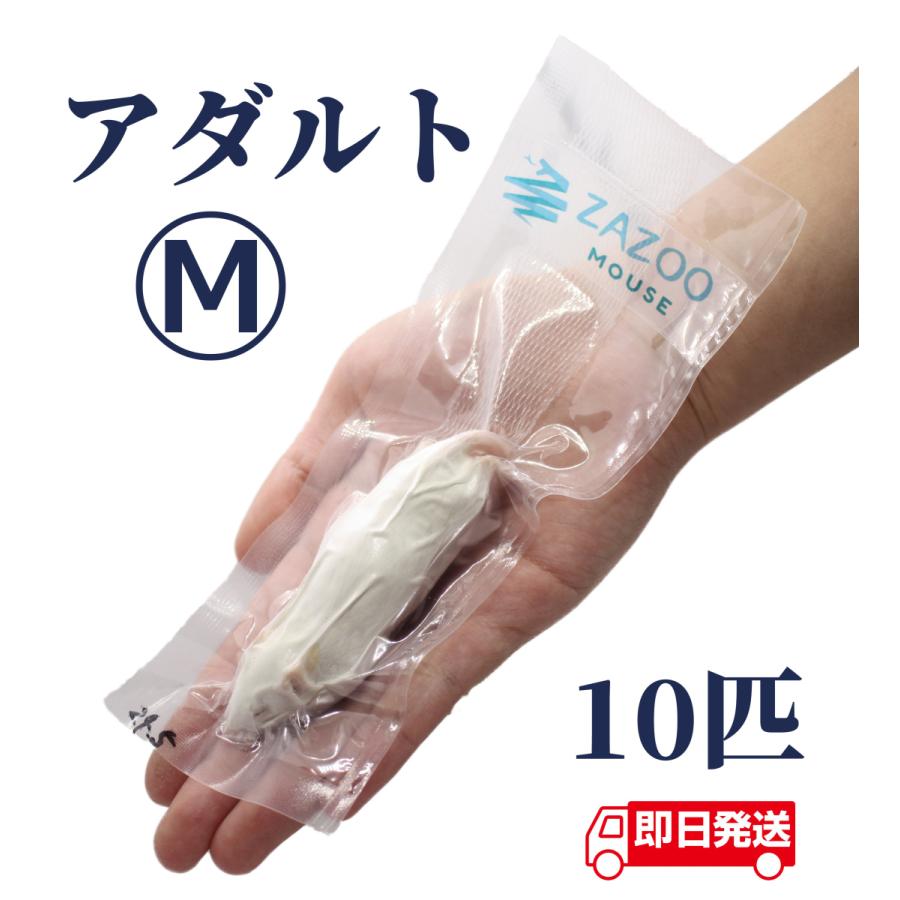 ZAZOO 国産 冷凍マウス アダルトM 20〜28g 約8.5cm 真空個別包装 ZAZOO 国産 冷凍マウス アダルトM 20〜28g 約8.5cm 真空個別包装