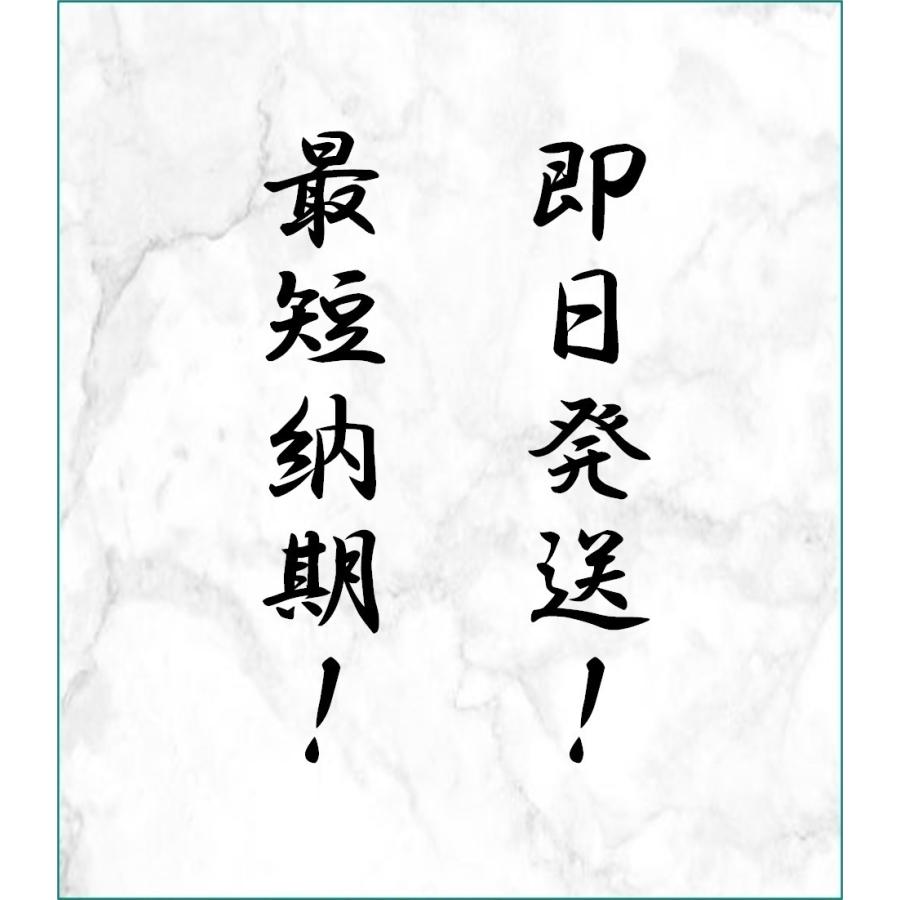 ZAZOO 国産 冷凍マウス アダルトM 20〜28g 約8.5cm 真空個別包装 ZAZOO 国産 冷凍マウス アダルトM 20〜28g 約8.5cm 真空個別包装