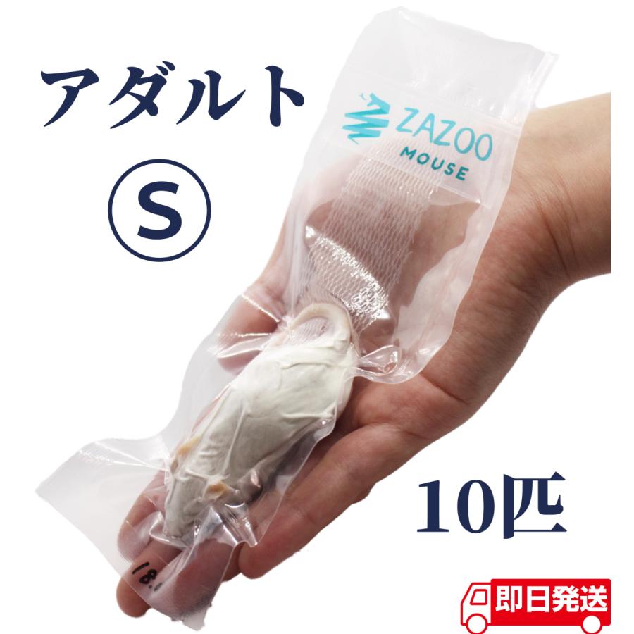 ZAZOO 国産 冷凍マウス アダルトS 15〜20g 約7.5cm 真空 個別 ZAZOO 国産 冷凍マウス アダルトS 15〜20g 約7.5cm 真空 個別