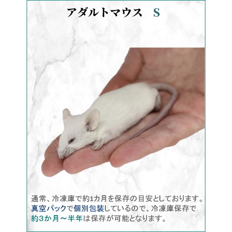 ZAZOO 国産 冷凍マウス アダルトS 15〜20g 約7.5cm 真空 個別包装 
