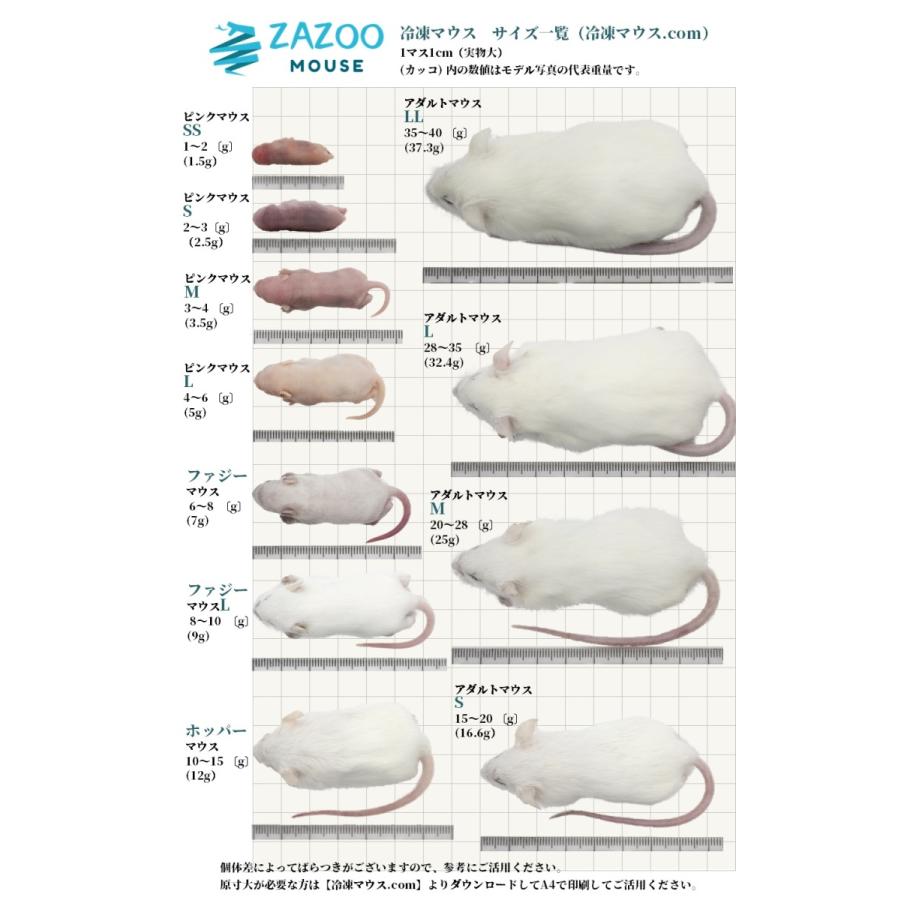 ZAZOO 国産 冷凍マウス アダルトS 15〜20g 約7.5cm 真空 個別 ZAZOO 国産 冷凍マウス アダルトS 15〜20g 約7.5cm 真空 個別