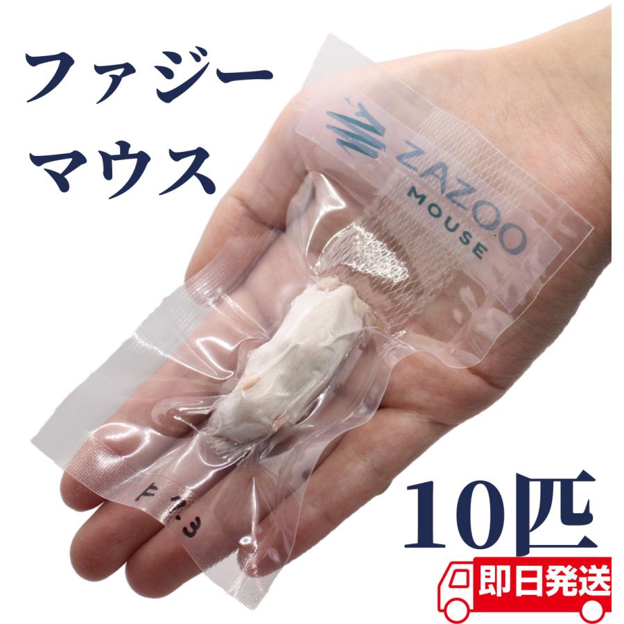 ZAZOO 国産 冷凍マウス　ファジーマウス 6〜8 g 約5.0 cm 真空 個別包装 爬虫類 猛禽類 の 餌｜zazous