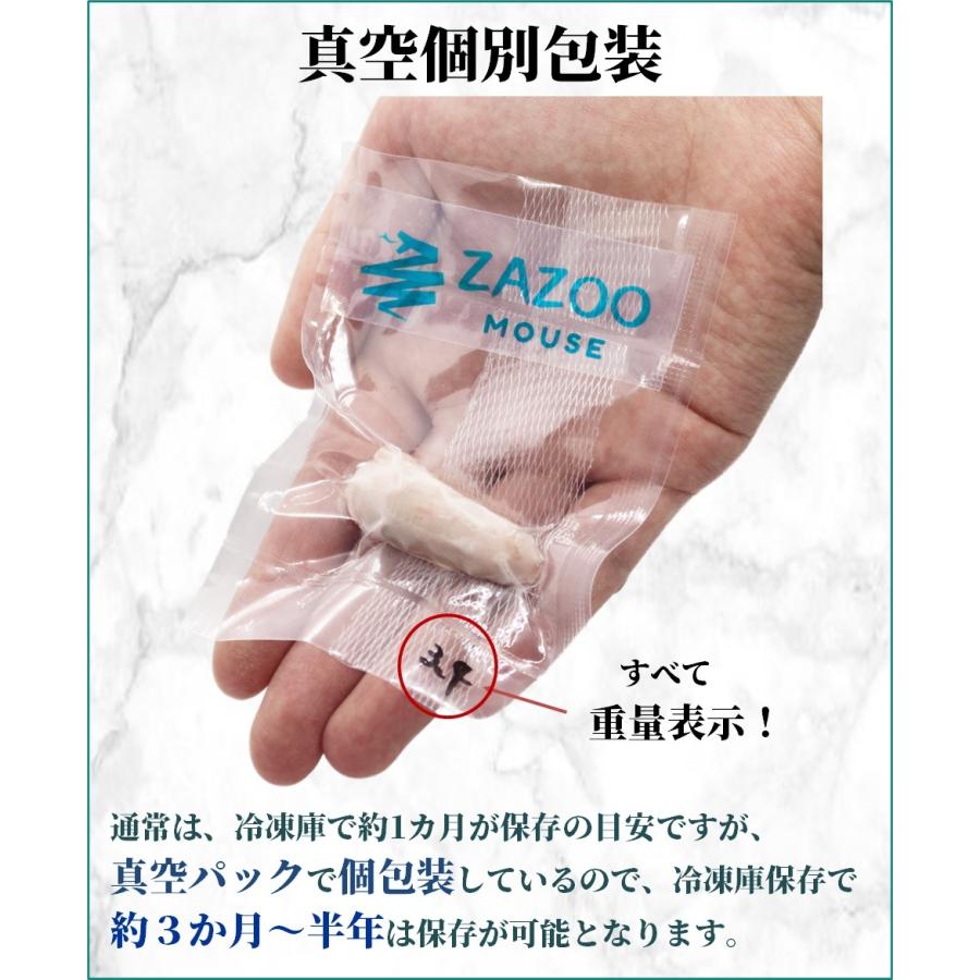 ZAZOO 国産 冷凍マウス ピンクマウスM 3〜4 g 約4.0 cm 真空 ZAZOO 国産 冷凍マウス ピンクマウスM 3〜4 g 約4.0 cm 真空