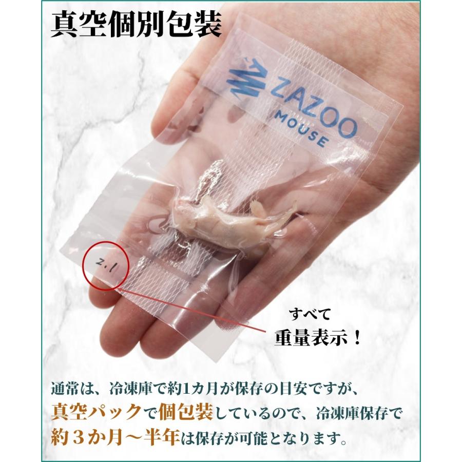 ZAZOO 国産 冷凍マウス ピンクマウスS 2〜3 g 約3.0 cm 真空