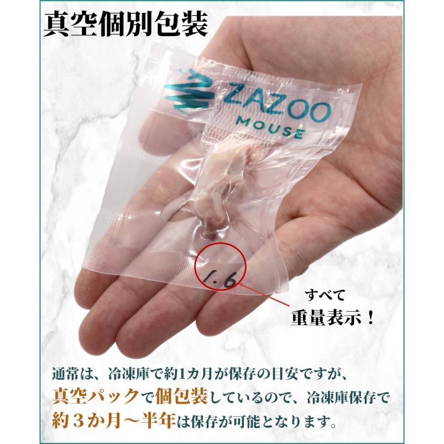 ZAZOO 国産 冷凍マウス ピンクマウスSS 1〜2 g 約2.5 cm 真空