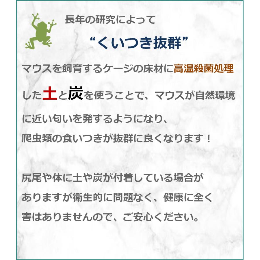 ZAZOO 国産 冷凍マウス ピンクマウスSS 1〜2 g 約2.5 cm 真空 個別包装
