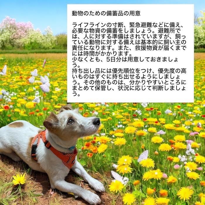 ペット 防災グッズ 防災セット 犬 バッグ 地震 対策 避難 非常用 持出