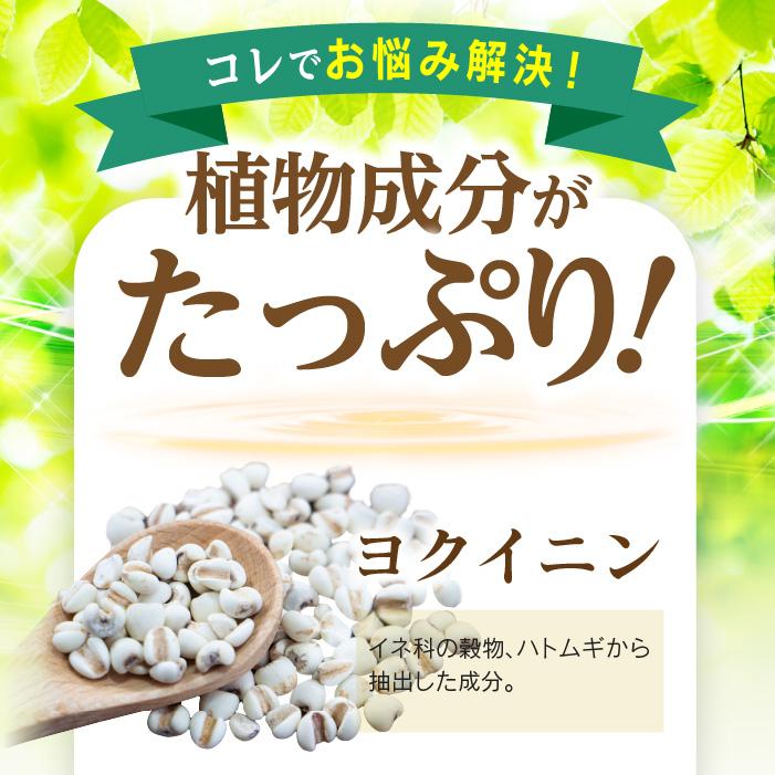 アンミオイル(30ml)定期購入 : ジーランドビフー - 通販 アンミオイル(30ml)定期購入 : ジーランドビフー - 通販