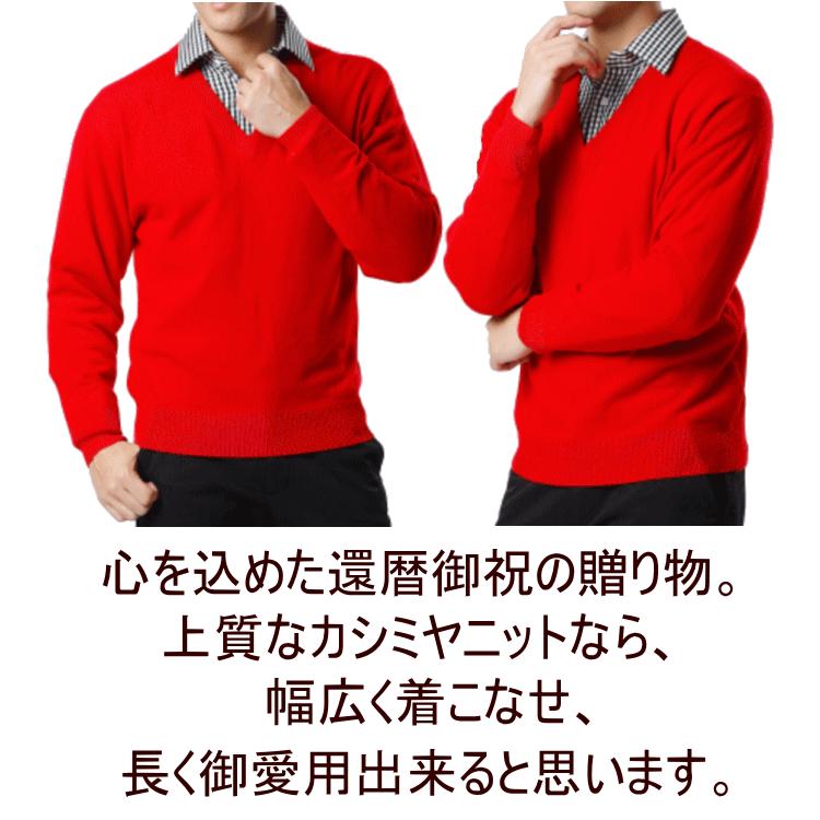 還暦 祝い カシミヤ 100% Vネック セーター メンズ (60歳) 御祝