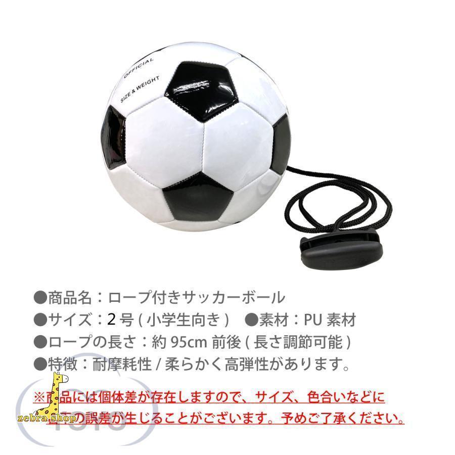 アルヒルム  &  オーシャンズプロ　サッカーボール 2個セット アルヒルム & オーシャンズプロ サッカーボール 2個セット