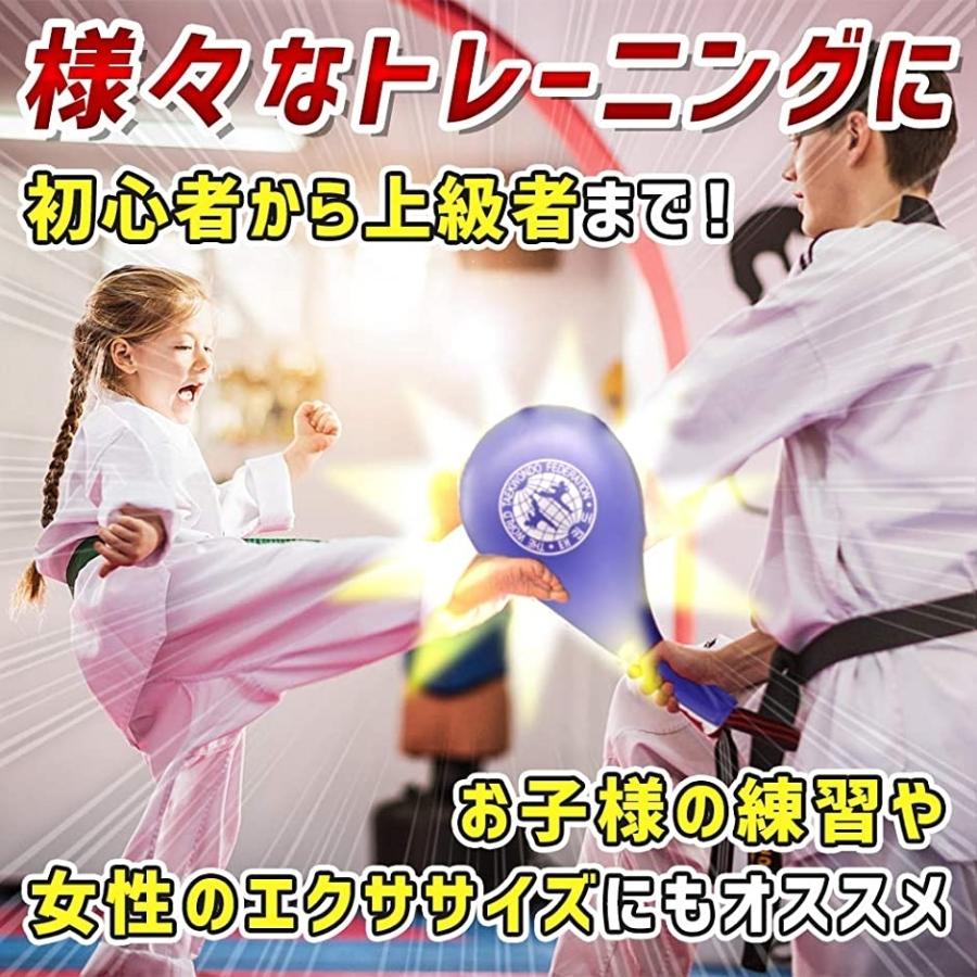 パンチングミット 2個セット テコンドー ムエタイ キックボクシング