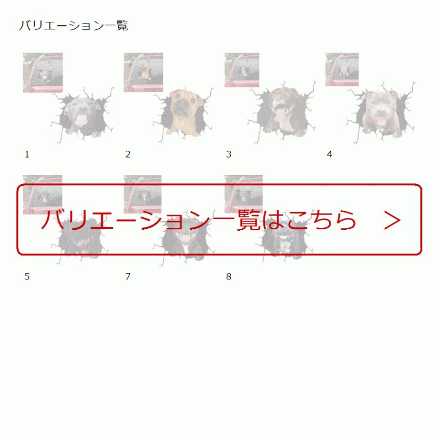 50 Off カーステッカー 車 トラック 犬 おもしろ 面白い 動物 ペット 2 Spa Rumba Fr