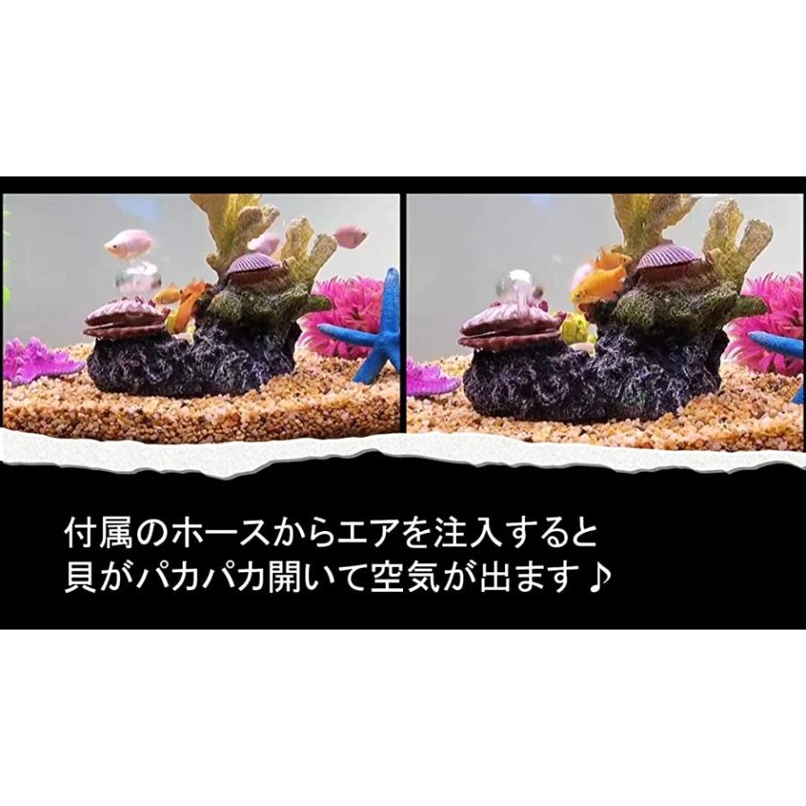 予約販売品 アクアリウム サンゴ 貝 エアー 開閉 動く オーナメント 水槽 オブジェ 隠れ家 メダカ 金魚 ヌマエビ 熱帯魚 Shipsctc Org
