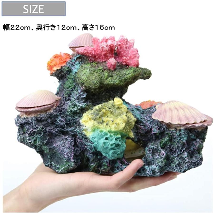 予約販売品 アクアリウム サンゴ 貝 エアー 開閉 動く オーナメント 水槽 オブジェ 隠れ家 メダカ 金魚 ヌマエビ 熱帯魚 Shipsctc Org