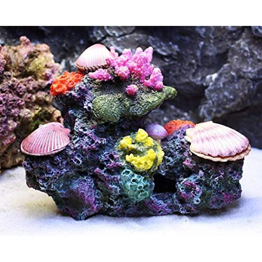 予約販売品 アクアリウム サンゴ 貝 エアー 開閉 動く オーナメント 水槽 オブジェ 隠れ家 メダカ 金魚 ヌマエビ 熱帯魚 Shipsctc Org