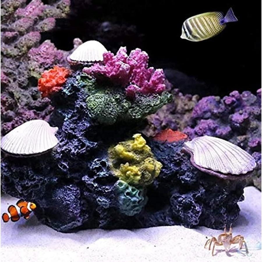 予約販売品 アクアリウム サンゴ 貝 エアー 開閉 動く オーナメント 水槽 オブジェ 隠れ家 メダカ 金魚 ヌマエビ 熱帯魚 Shipsctc Org