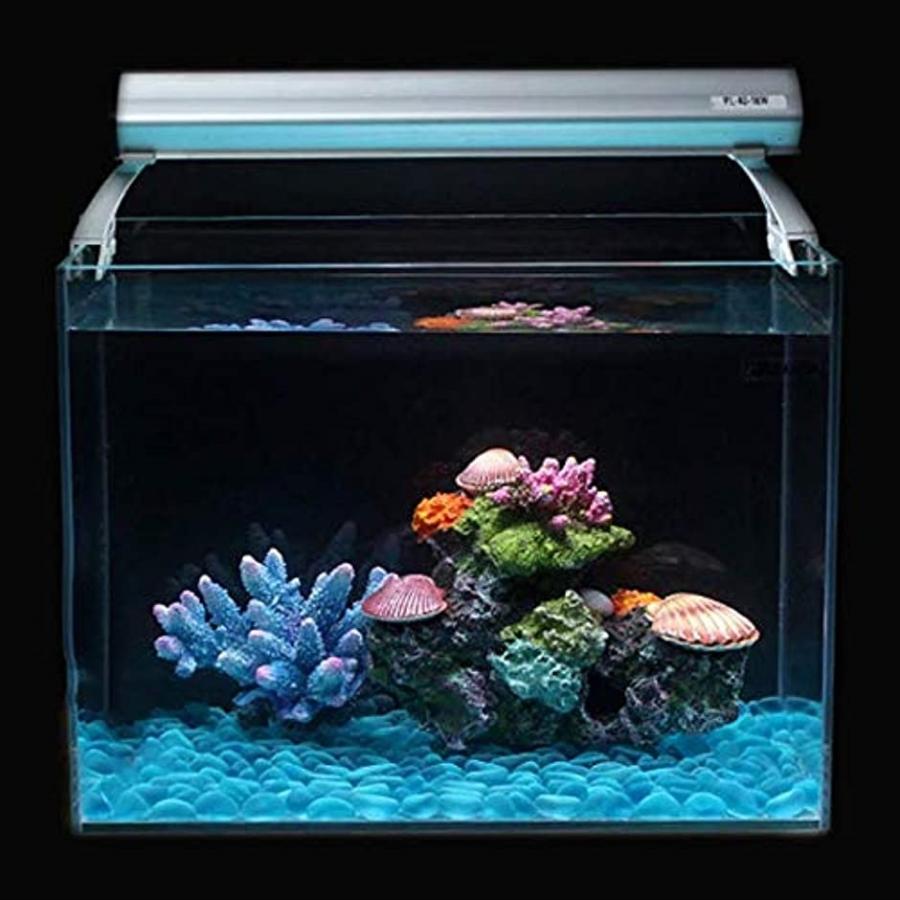 アクアリウム サンゴ 貝 エアー 開閉 動く オーナメント 水槽 オブジェ 隠れ家 メダカ 金魚 ヌマエビ 熱帯魚 2b619so08l ゼブランドショップ 通販 Yahoo ショッピング