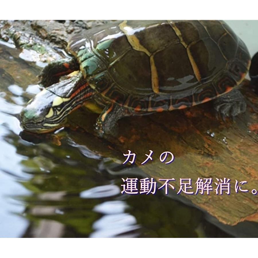 爬虫類用 水槽台 流木 石 亀 飼育ケース イモリ 浮島 水槽ひーたー カメ 両生類 プラスチック水槽 2b6r1twlnd ゼブランドショップ 通販 Yahoo ショッピング