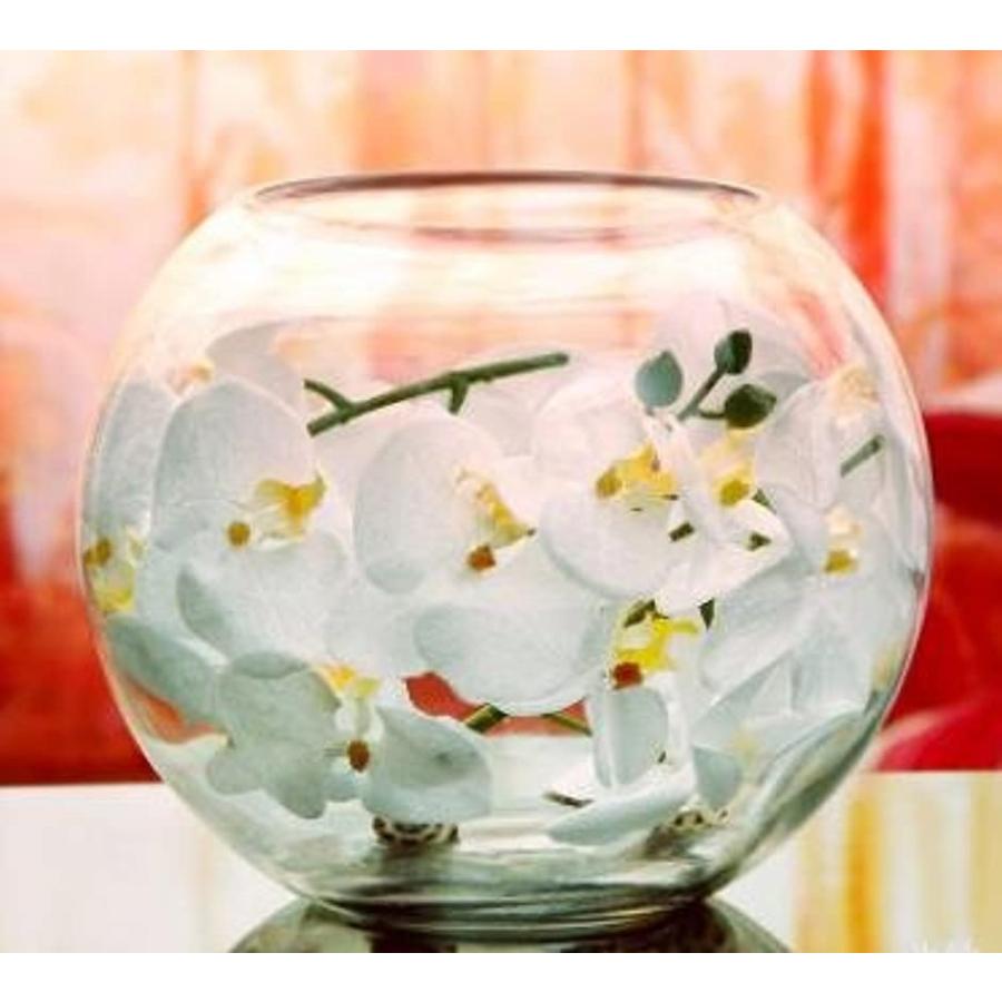ガラス 丸型 水槽 大 テラリウム 観葉植物 インテリア アクアリウム 金魚鉢 にも ２２ｃｍ 2b86qgqdou ゼブランドショップ 通販 Yahoo ショッピング