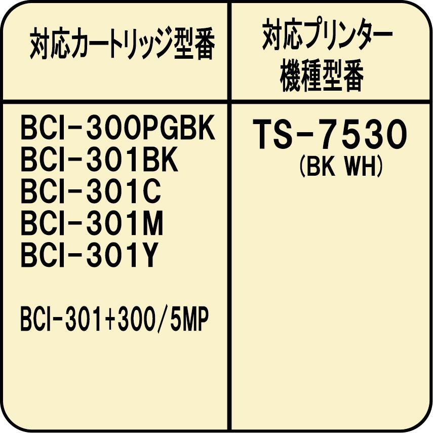 ( ZCC300BCL-N ) キヤノン BCI-300 BCI-301 対応 用 詰め替えインク 30ml 5色セット 滴下方式 ZCC300BCL-N | ゼクーカラー | 01