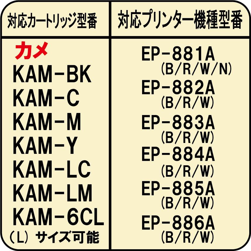 エプソン カメ KAM-6CL 詰め替えインク 6色x各60ml  ICチップ リセッター 付 スターターセット EP-886A EP-885A EP-884A EP-881A EP-882A EP-883A｜zecoocolor｜02