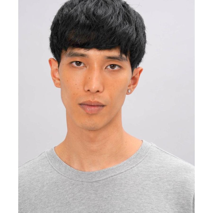 LION HEART ライオンハート ピアス メンズ サンドスタッドピアス