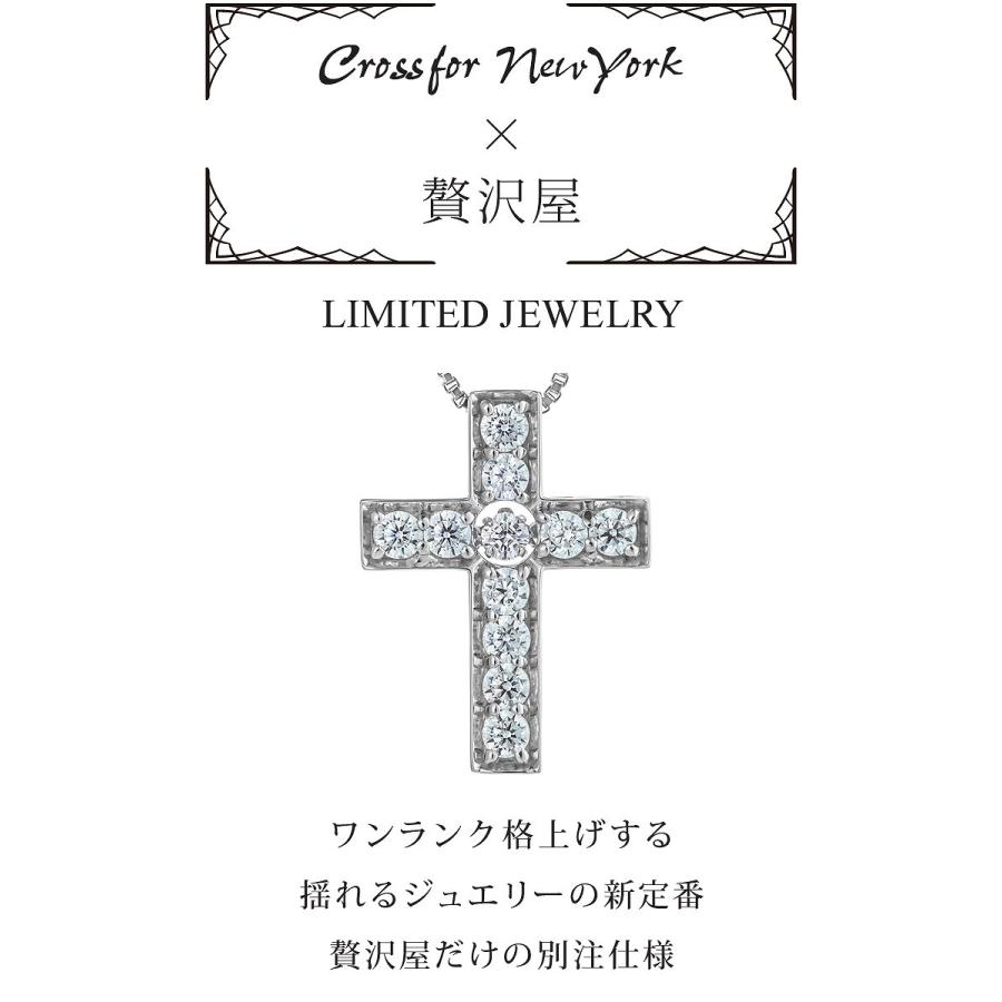 ダンシングストーン ネックレス シルバー925 クロスフォーニューヨーク Pt900 プラチナ K18 18金 ピンクゴールド イエローゴールド SV925 ZNY 母の日 ギフト_4